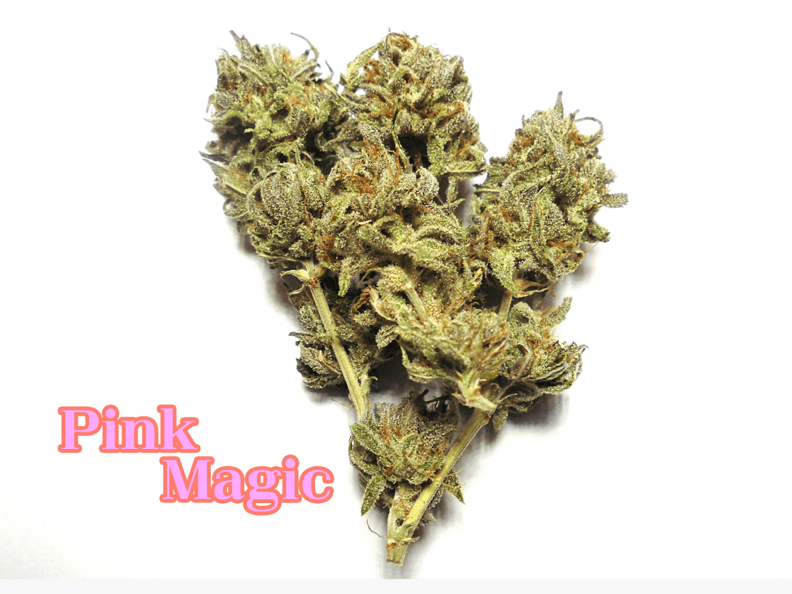 Pink Majic