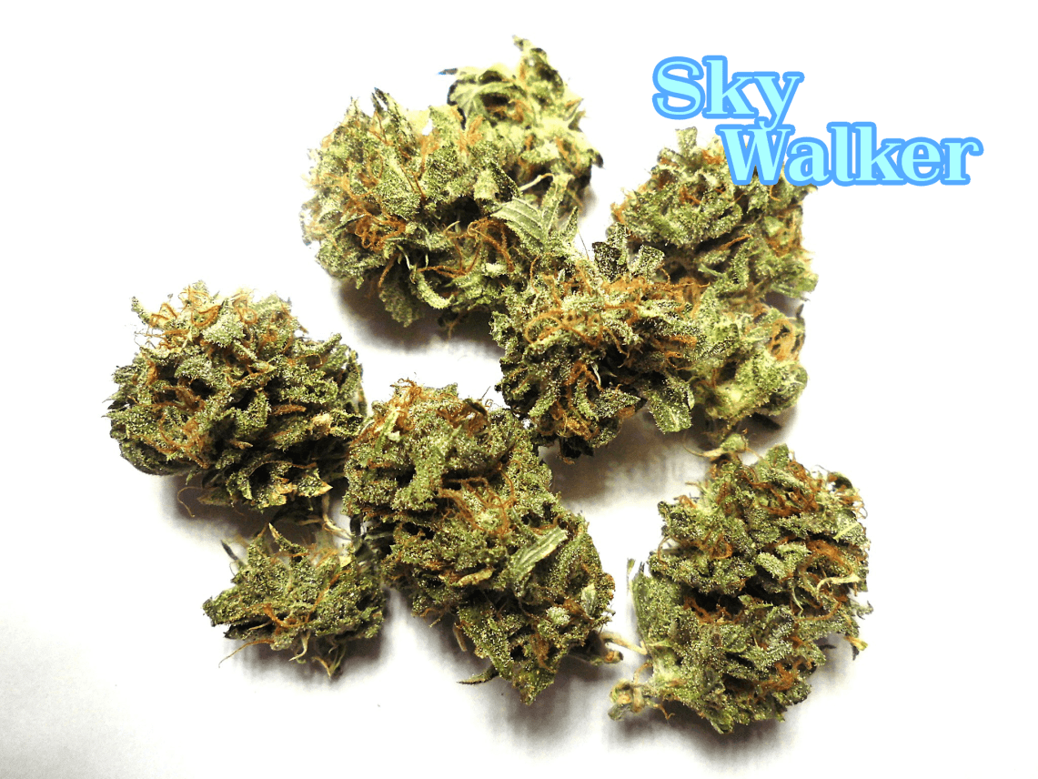 Sky Walker