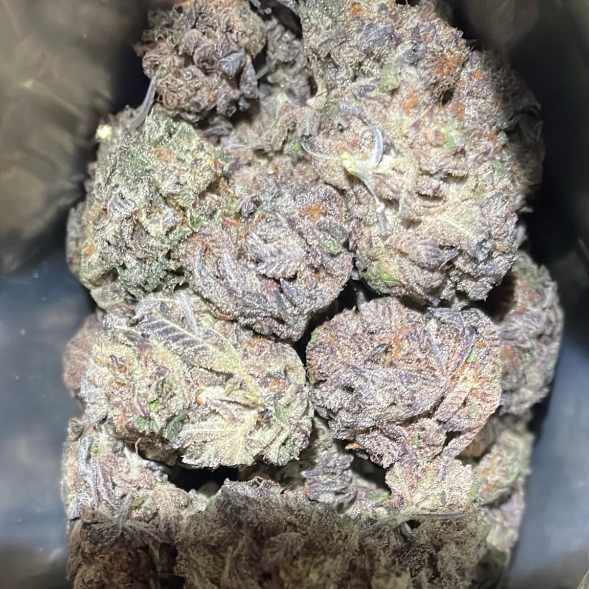 【完売】Gorilla Glue #4