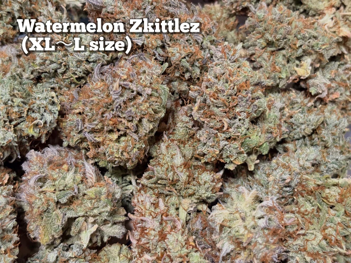 Watermelon Zkittlez（XL〜L）