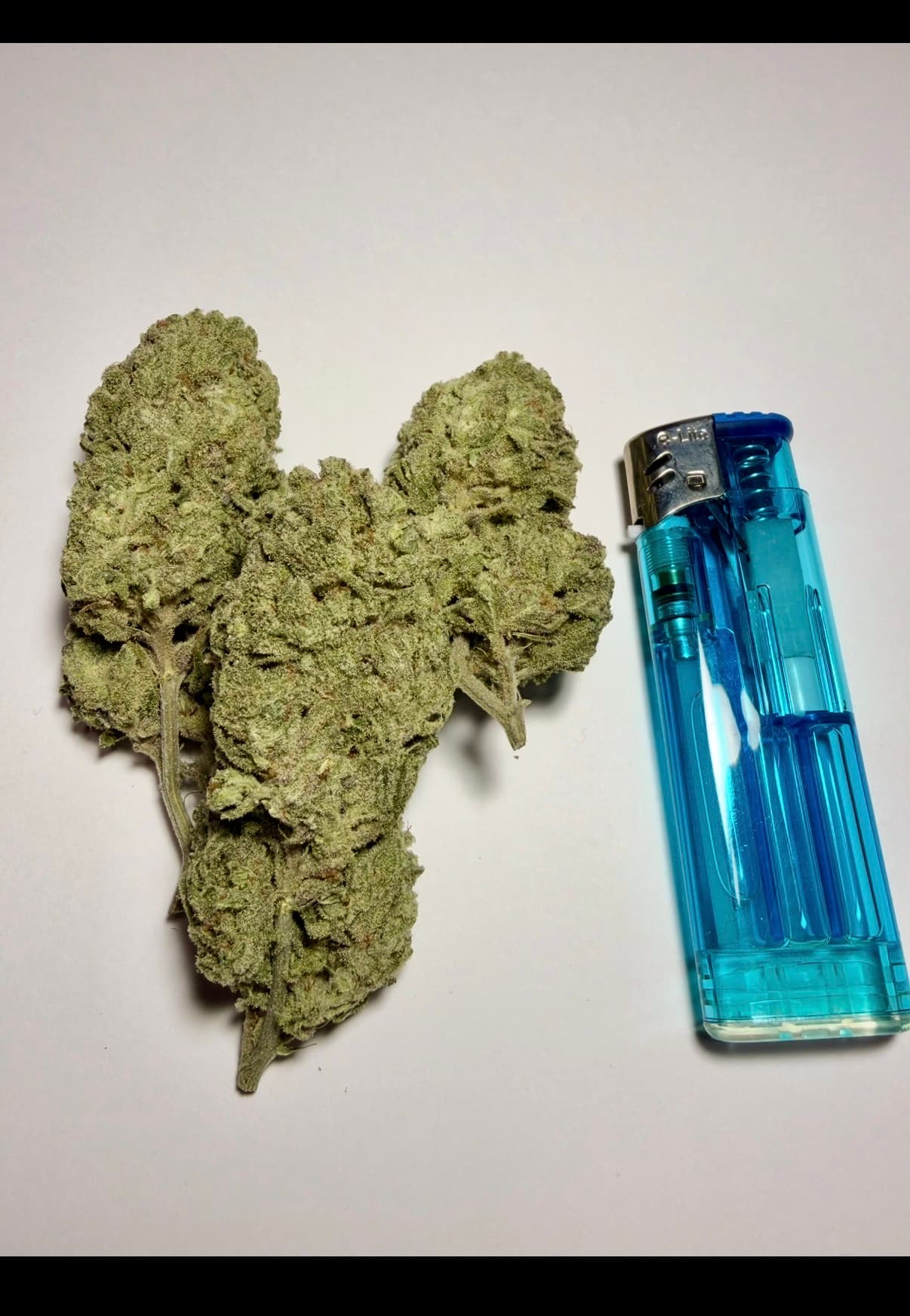 Brue Dream(Royal Quees Seeds)