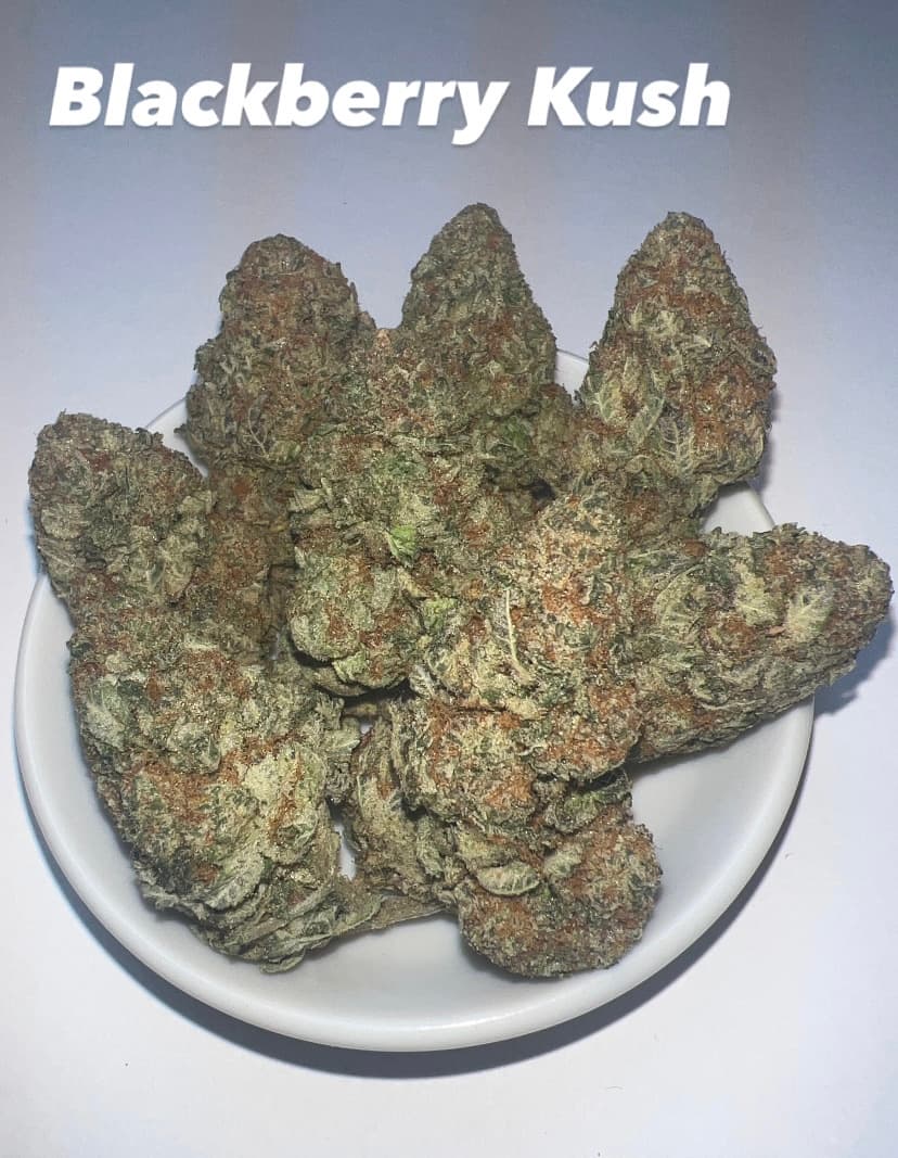 Blackberry Kush