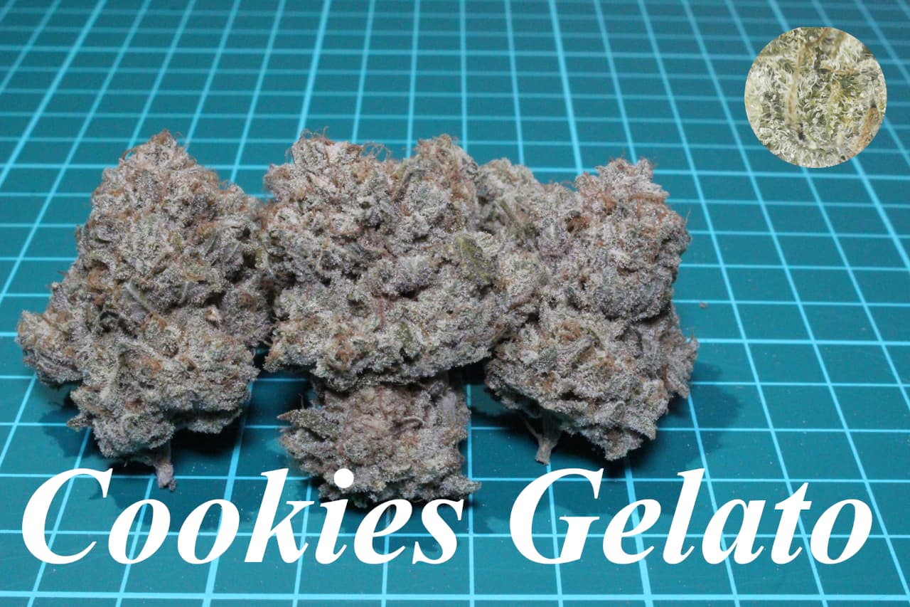 Cookies Gelato