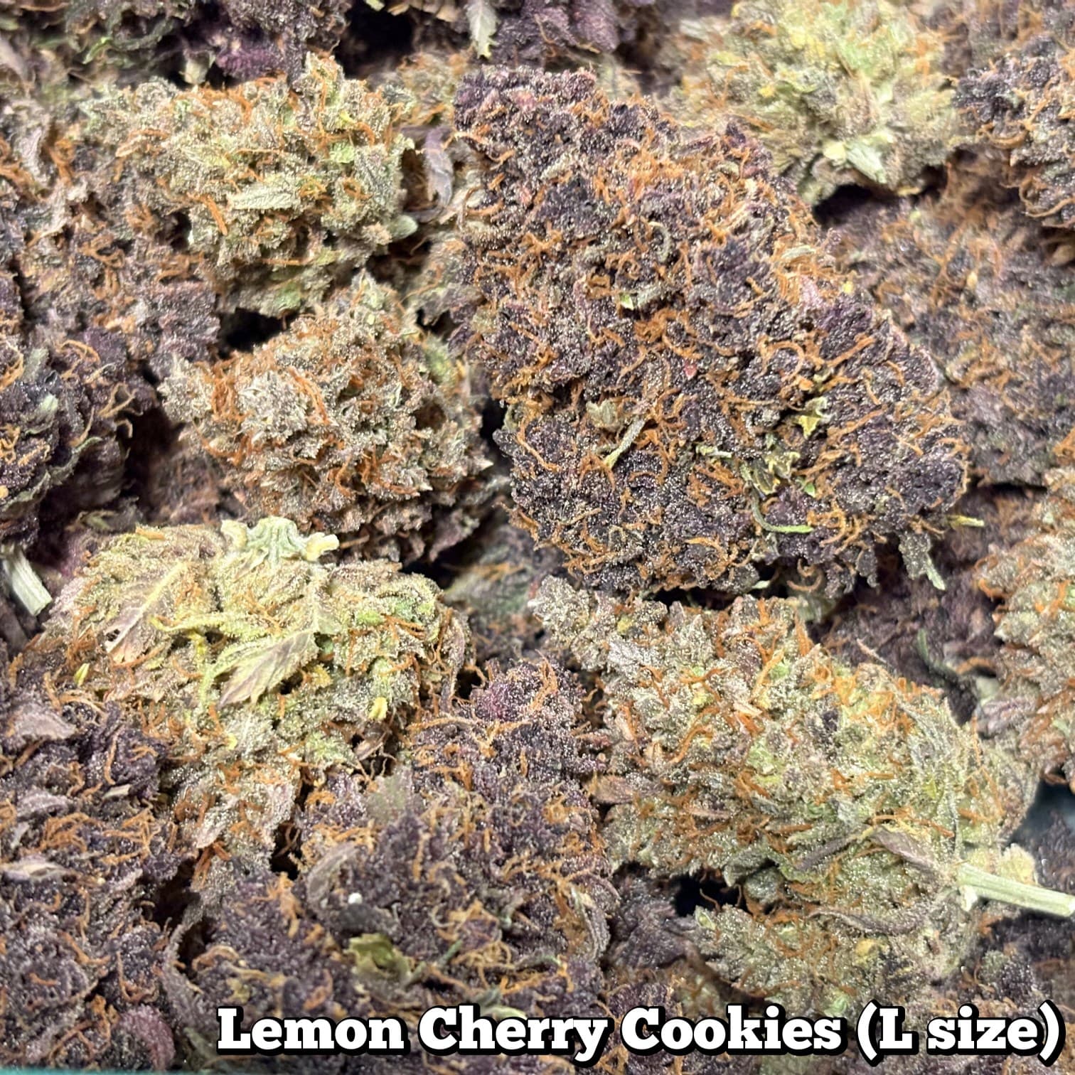 🙏Sold out…🥦Lemon Cherry Cookies（Lサイズ）