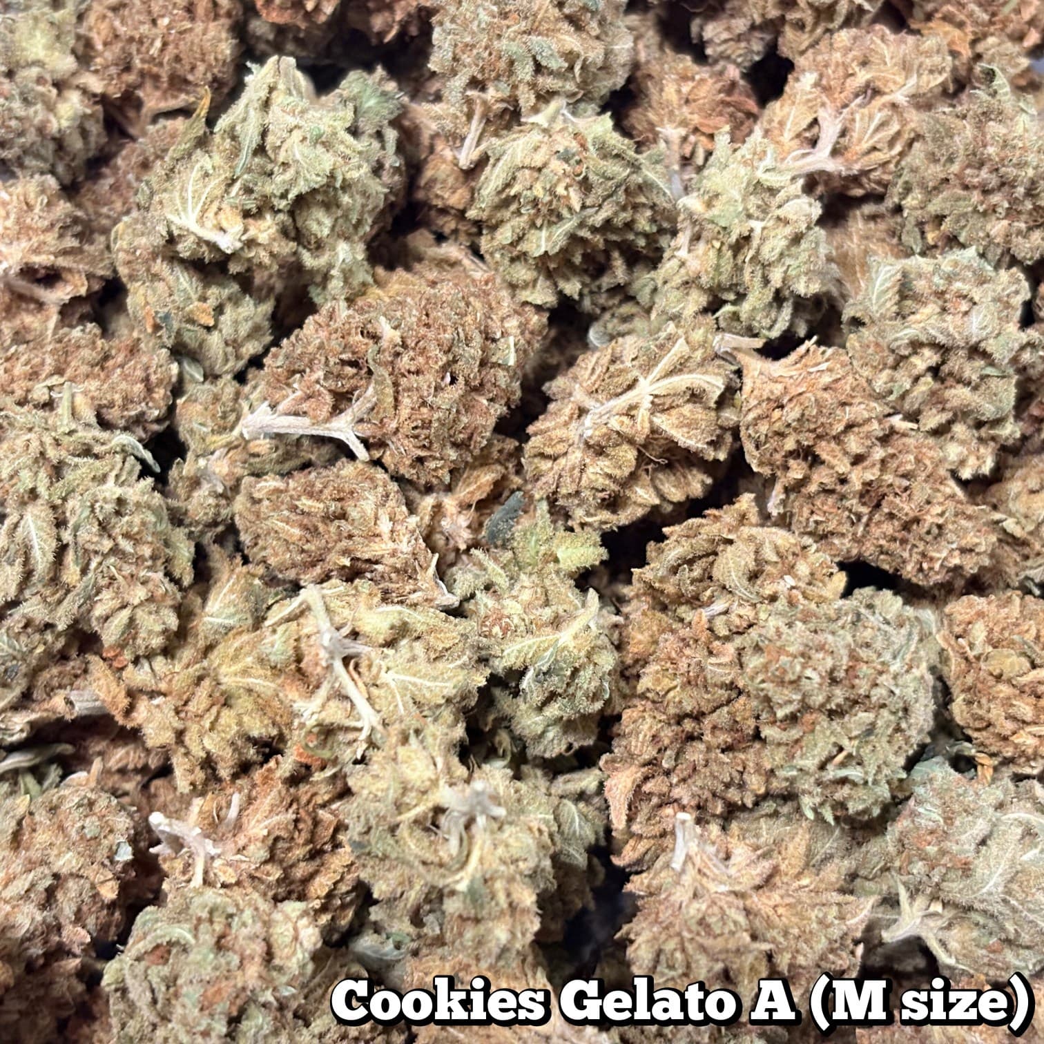 🥦Cookies Gelato A（Mサイズ）