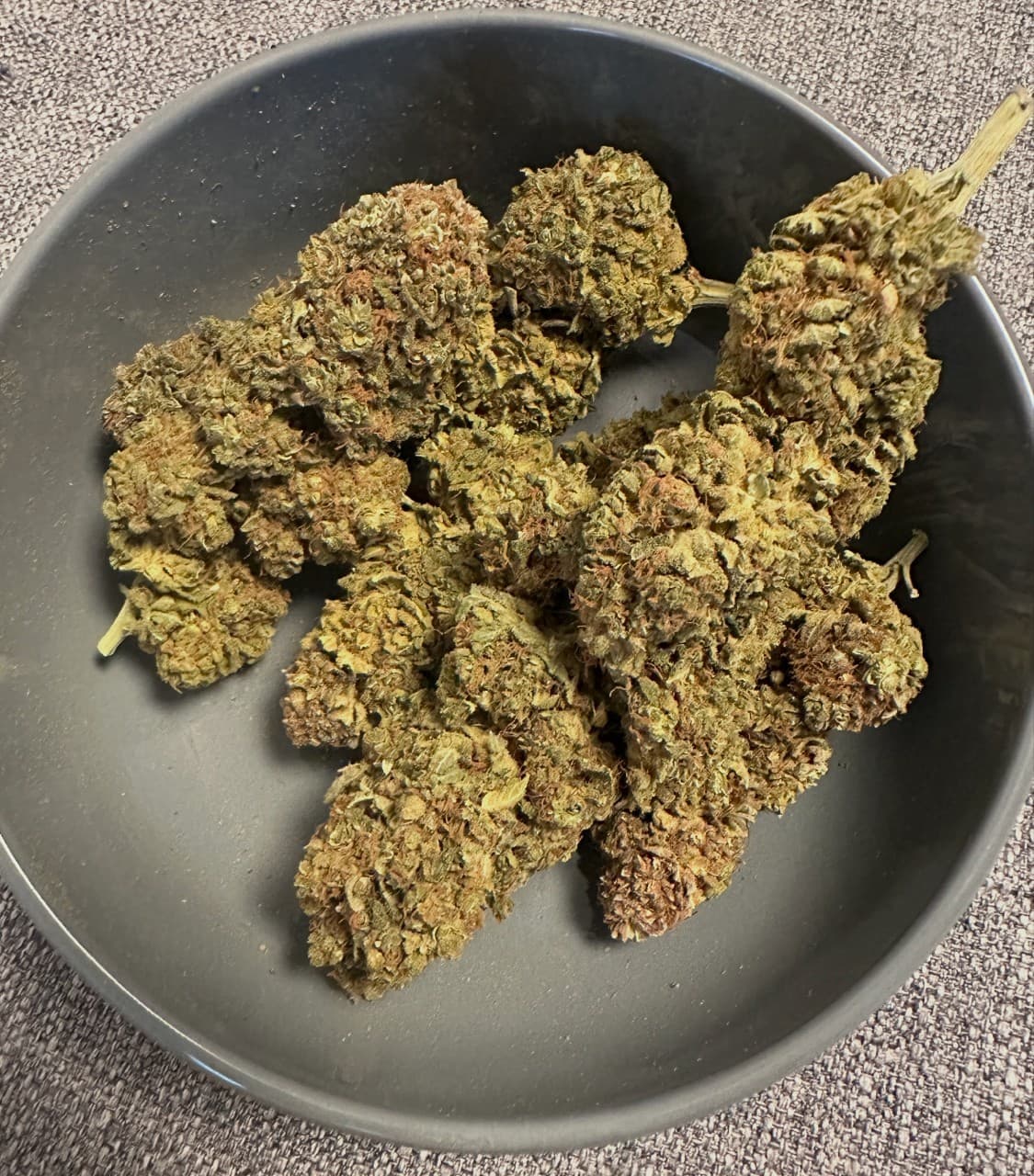 Bruce Banner × 10g