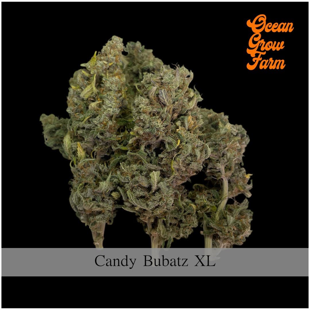 Candy Bubatz XL