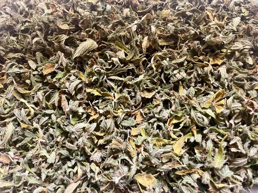 Sugar Leaf 20g