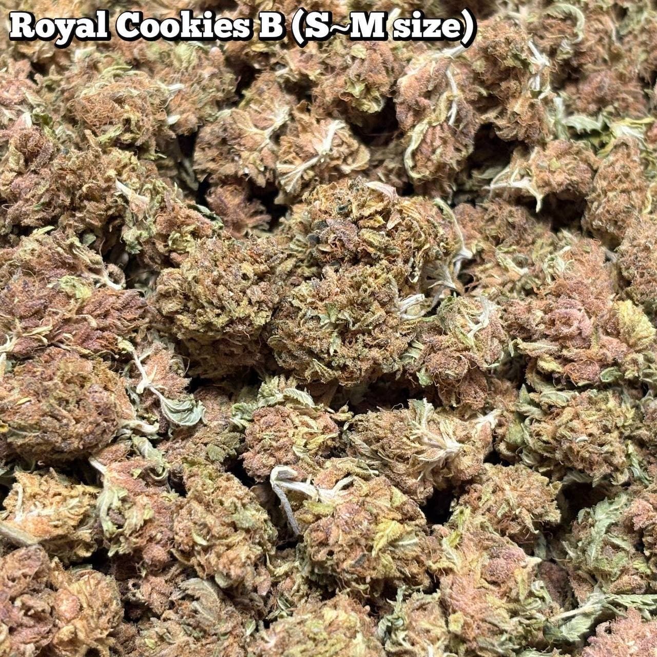 残75g…🥦Royal Cookies B（S〜Mサイズ）
