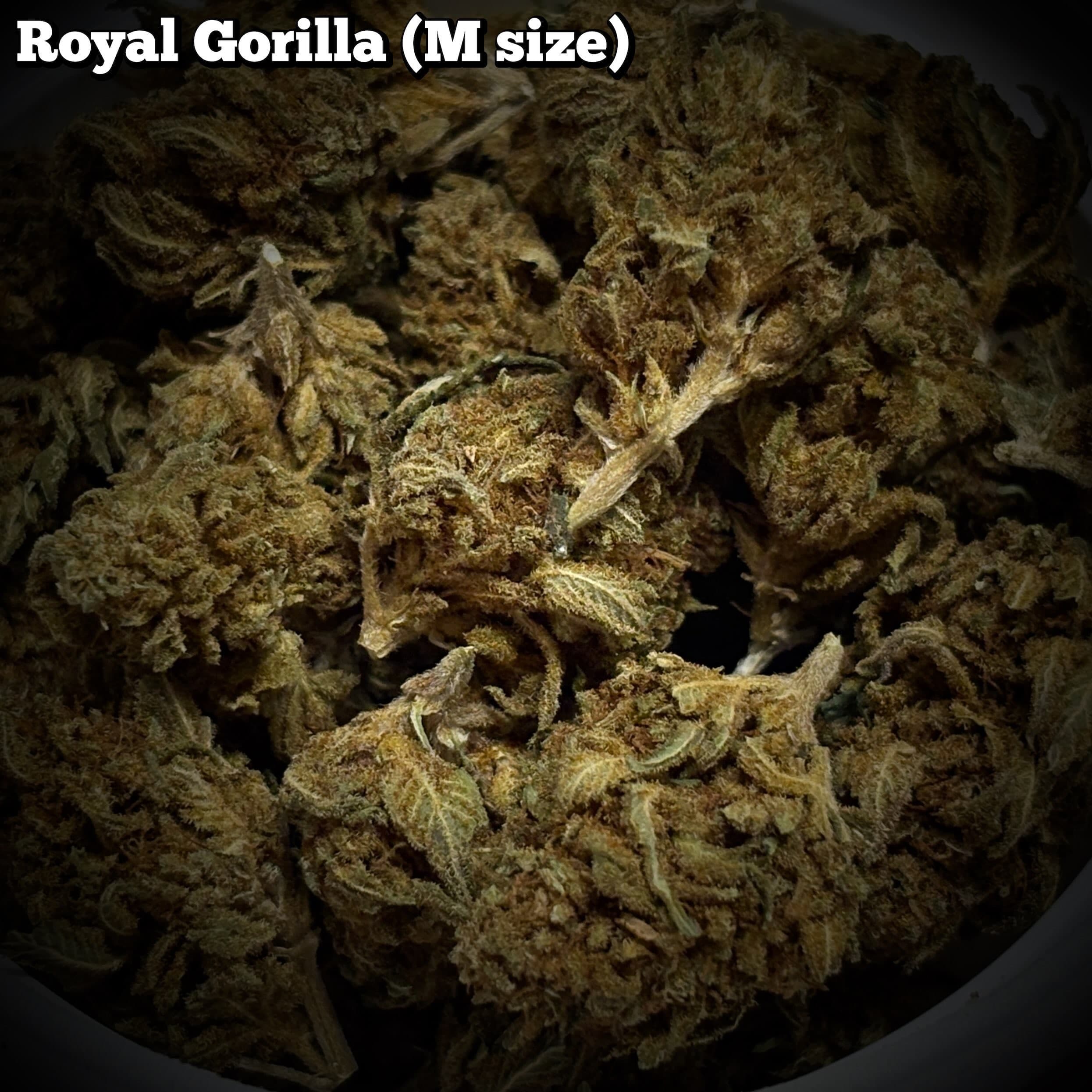 残9g…🥦Royal Gorilla A（Mサイズ）