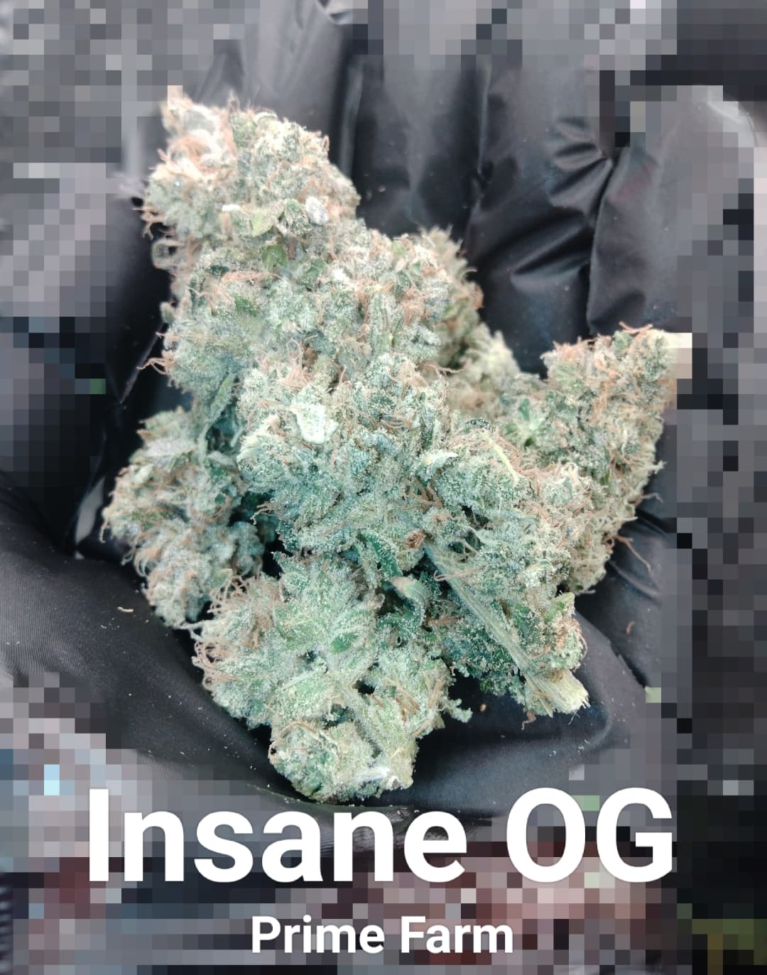 Insane OG