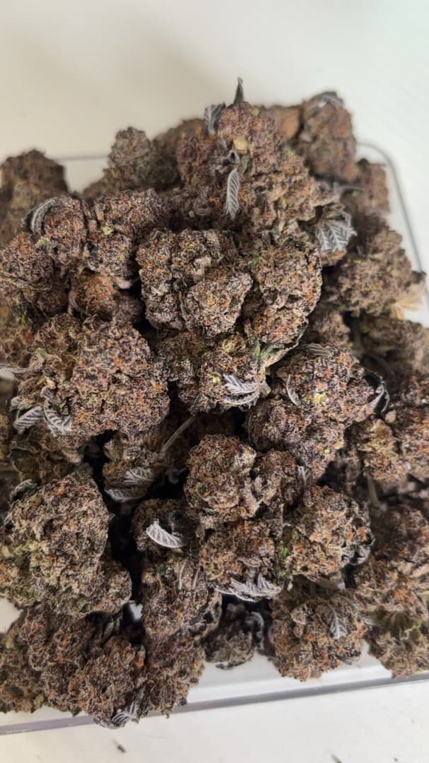 Frozen Black Cherry